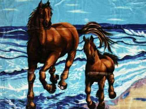 Kuscheldecke Motiv Pferd mit Fohlen in blau 200x160cm