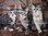 Kuscheldecke mit Katzen-Motiv I grau - 200x160cm