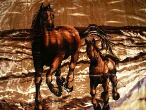 Kuscheldecke Motiv Pferd mit Fohlen in braun 200x160cm