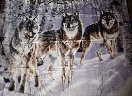 Kuscheldecke mit Motiv Wolf / Wölfe 200x160cm