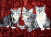 Kuscheldecke mit Katzen-Motiv IV - rot 200x160cm